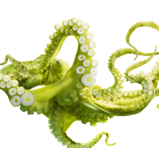 Green Octopus - Obrázkek zdarma pro iPad