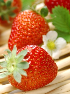 Sfondi Fresh Strawberries 240x320