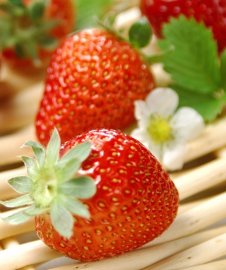 Kostenloses Fresh Strawberries Wallpaper für Nokia C6-01