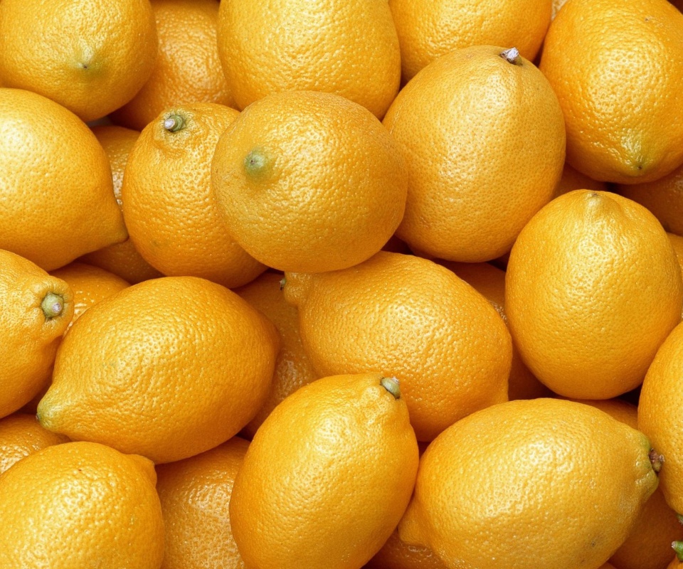 Menton Lemon screenshot #1 960x800