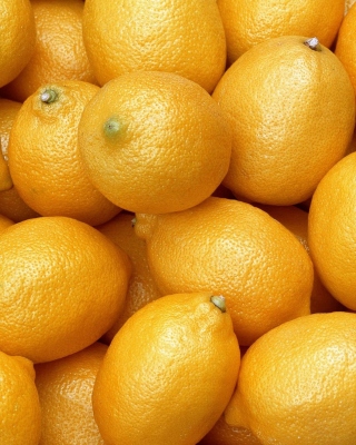 Menton Lemon sfondi gratuiti per 640x1136