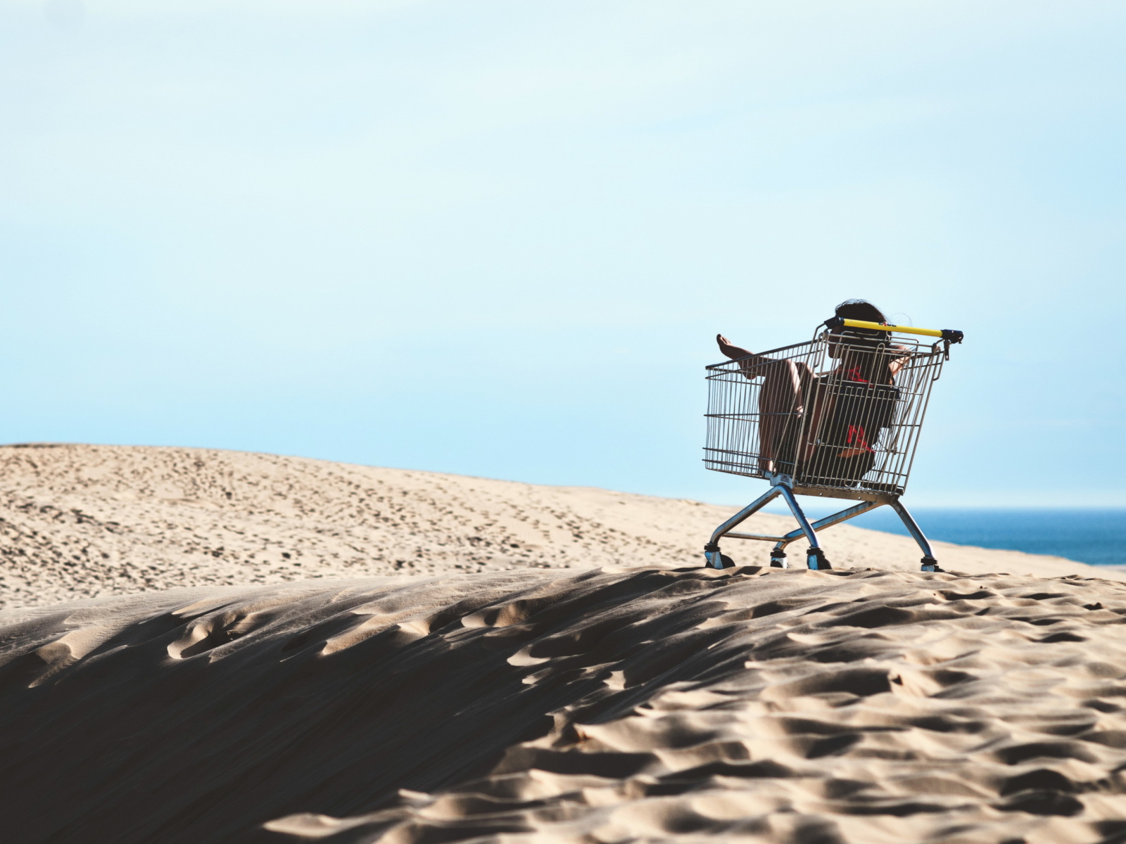 Screenshot №1 pro téma Girl In Shopping Cart 1600x1200