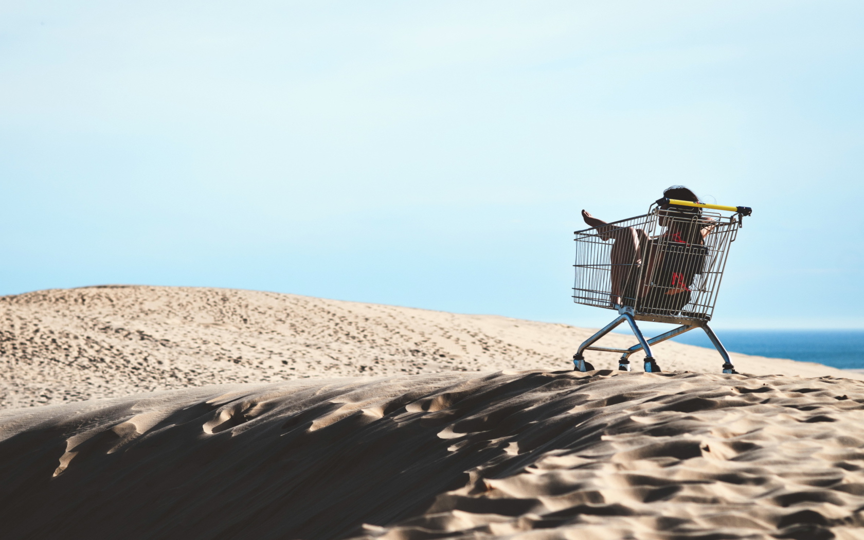 Girl In Shopping Cart screenshot #1 1680x1050