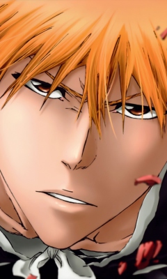 Screenshot №1 pro téma Bleach 240x400