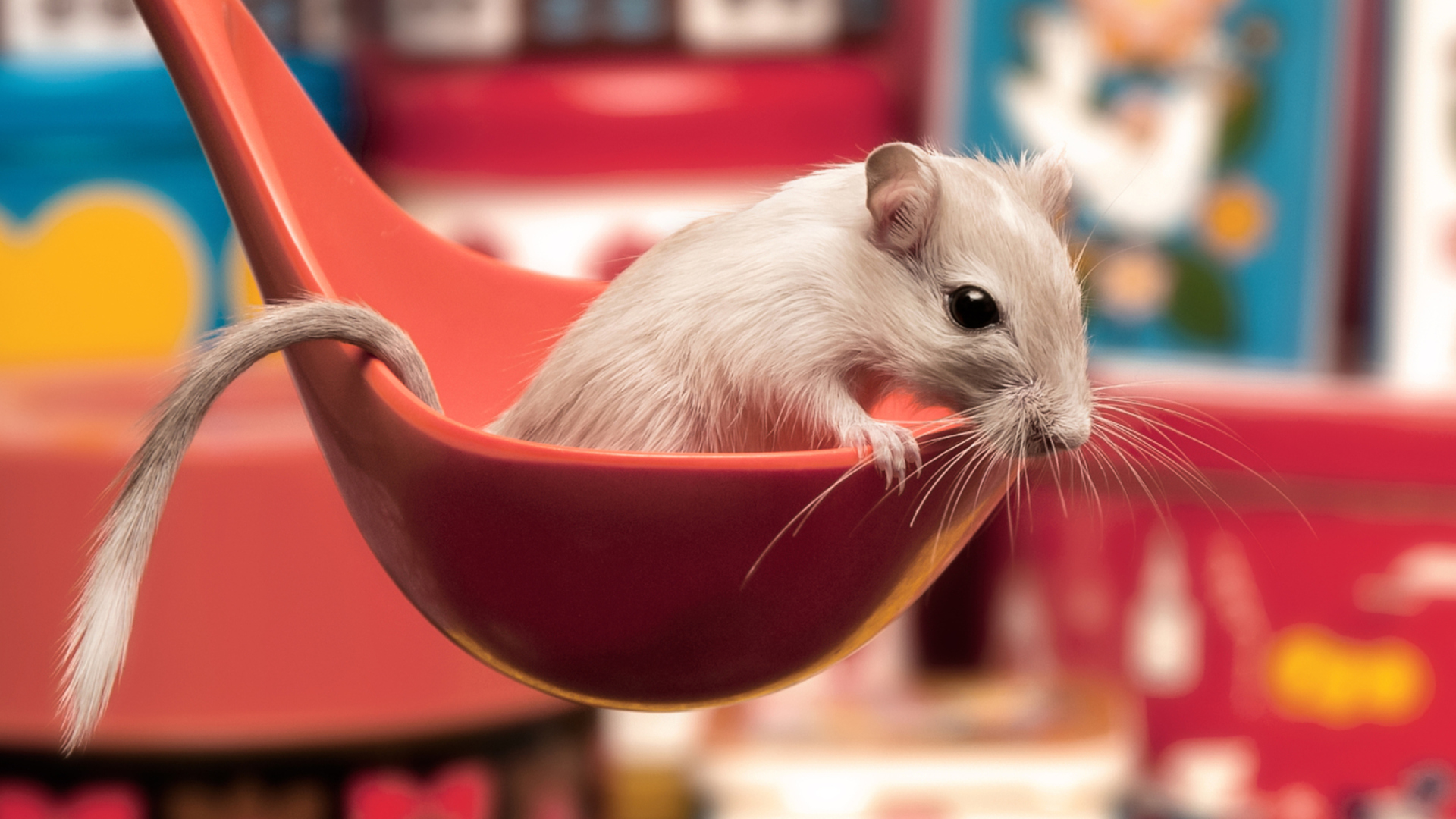 Das Cute Rat Wallpaper 1920x1080