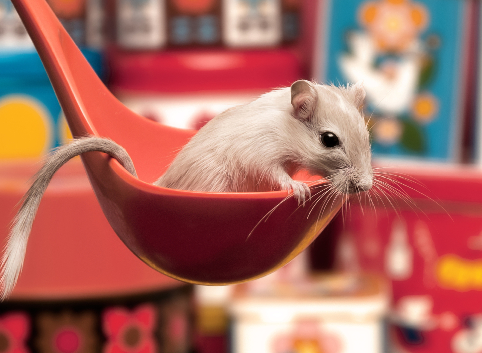 Cute Rat screenshot #1 1920x1408