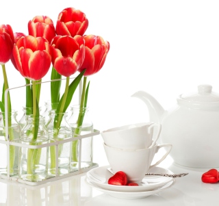 Tulips And Teapot sfondi gratuiti per 2048x2048