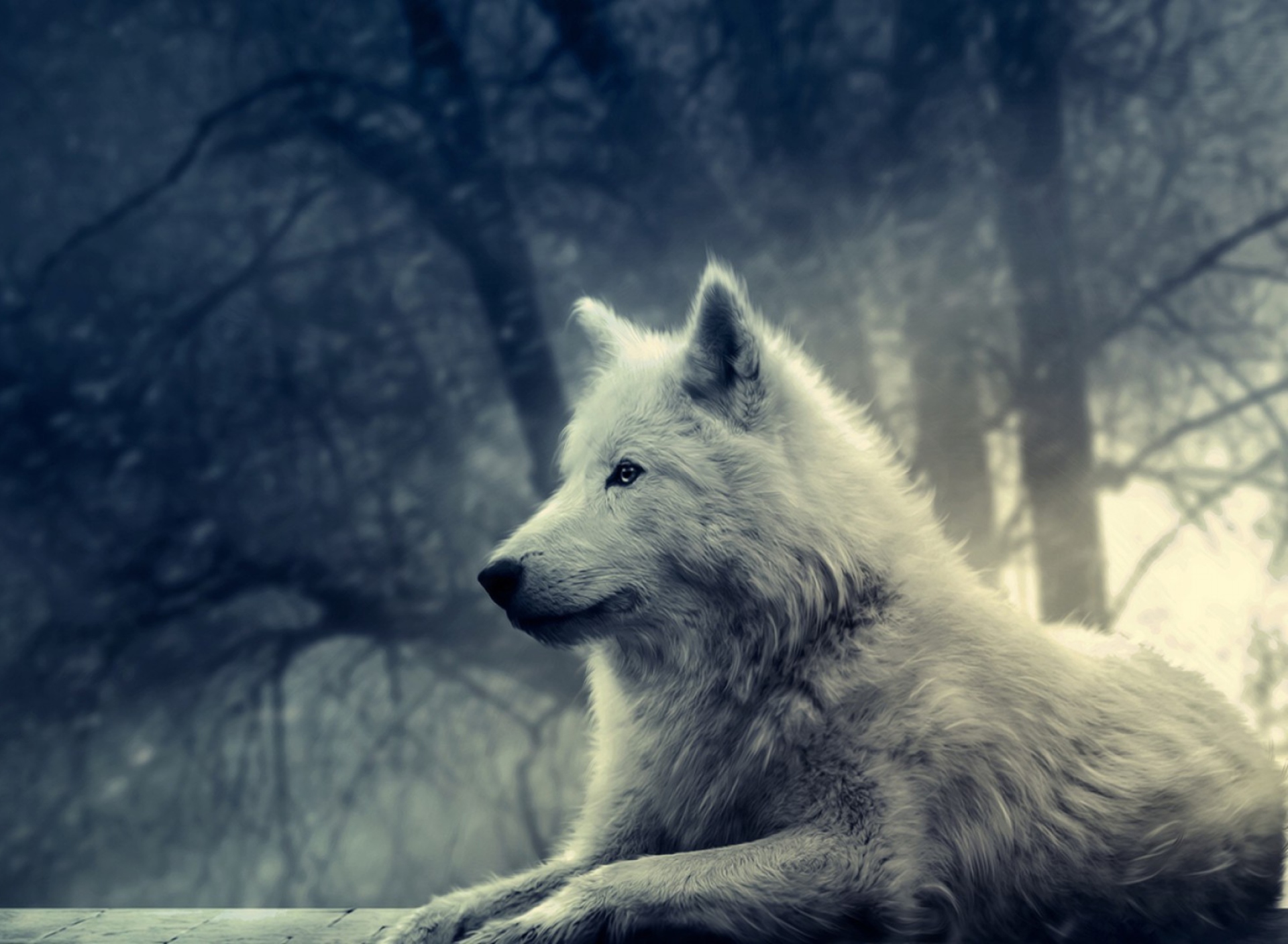 Night Wolf screenshot #1 1920x1408