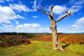 Landscape Photo - Obrázkek zdarma pro 1366x768