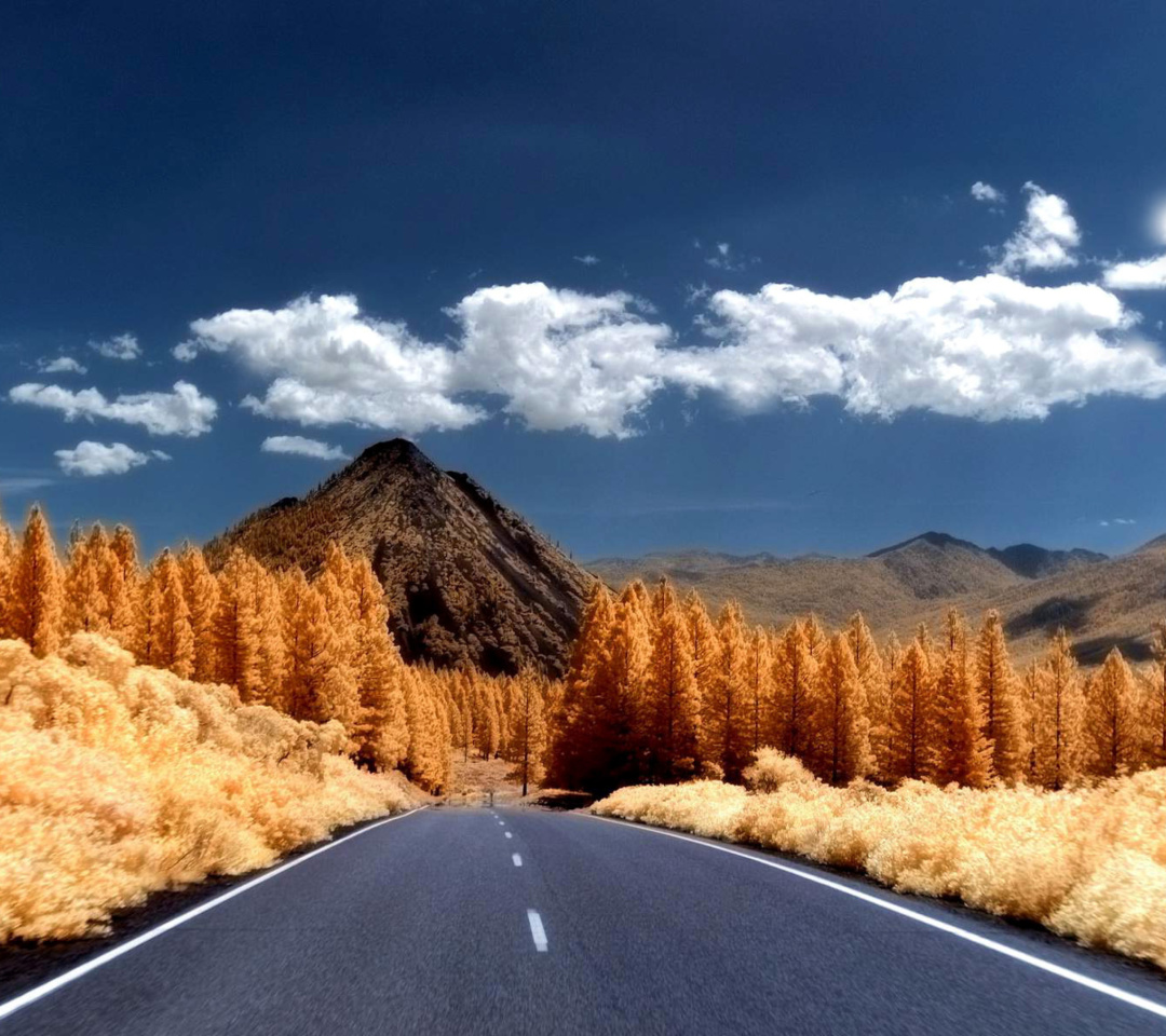 Das Autumn Road Wallpaper 1080x960