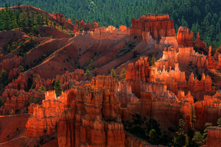 Bryce Canyon National Park In Utah - Obrázkek zdarma pro Fullscreen Desktop 1600x1200