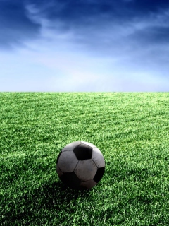 Screenshot №1 pro téma Football Widescreen Wallpaper 240x320