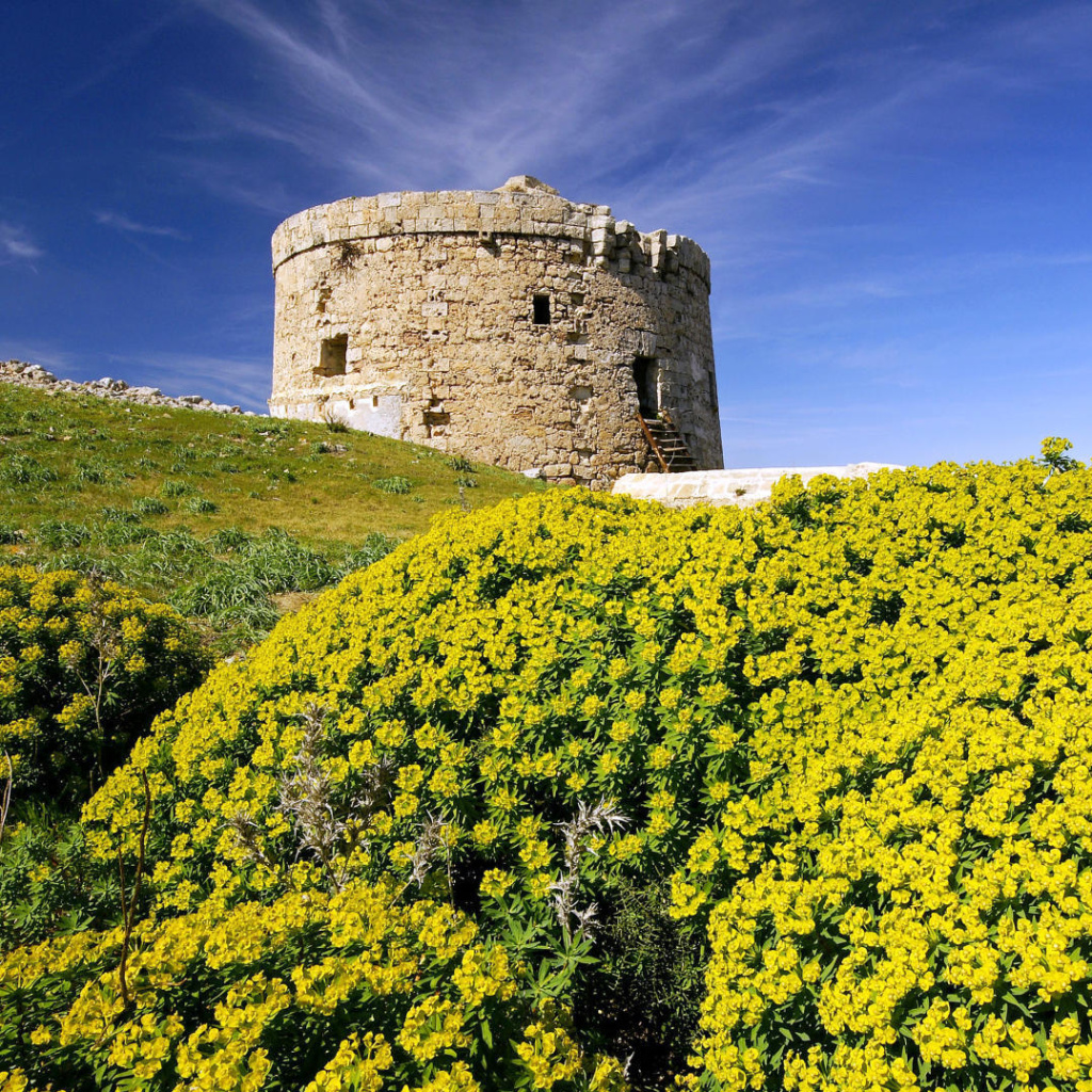 Обои Stone Tower In Mountains 1024x1024