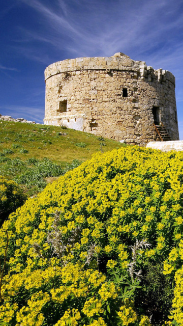 Das Stone Tower In Mountains Wallpaper 360x640