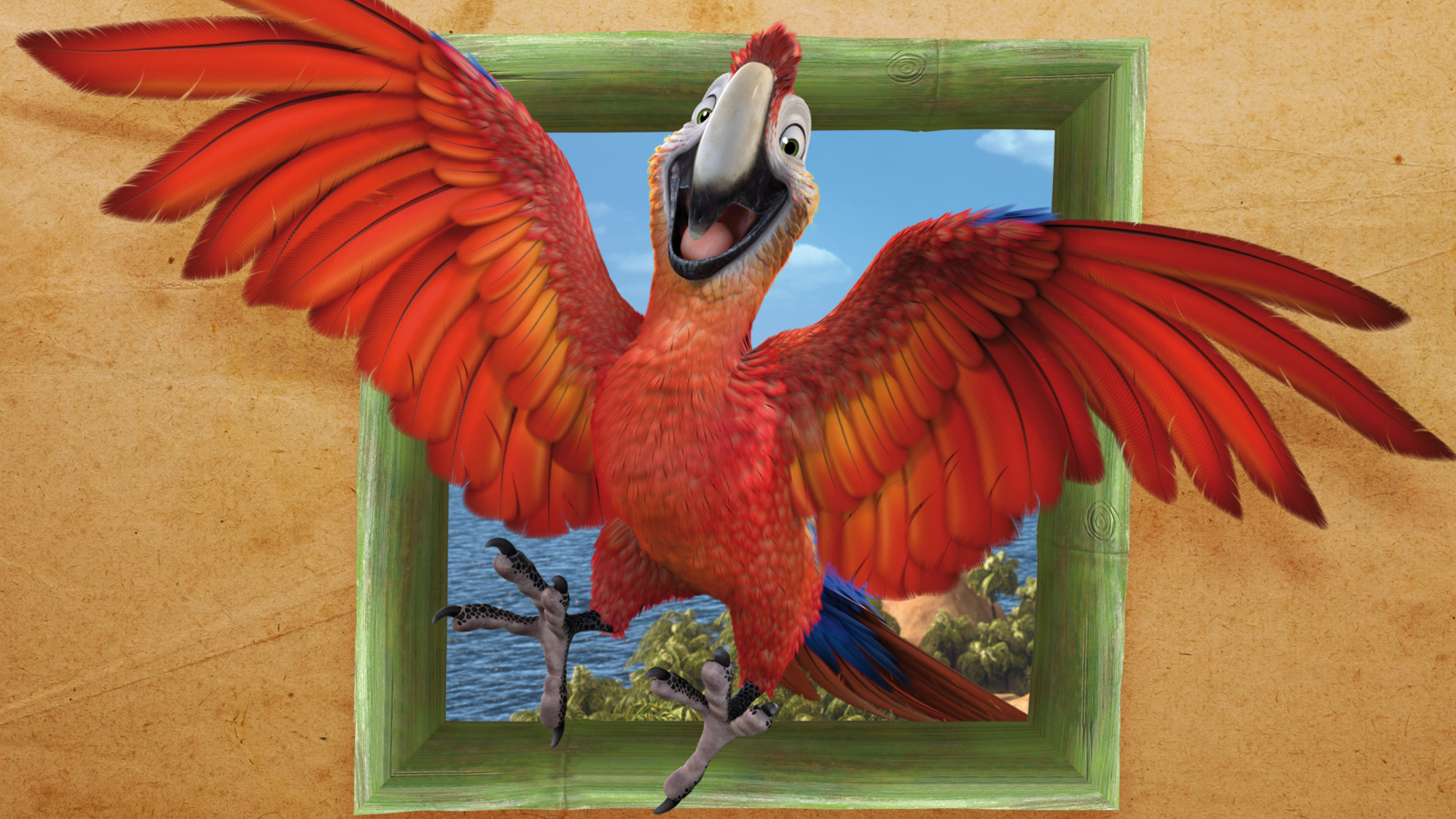 The Wild Life Cartoon Parrot wallpaper 1600x900