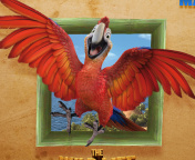 The Wild Life Cartoon Parrot wallpaper 176x144