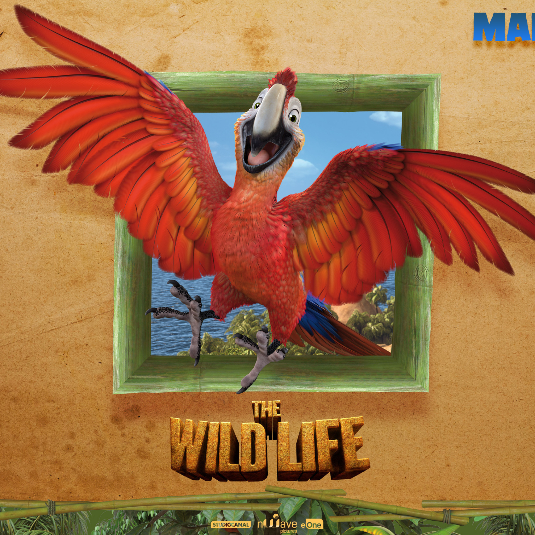 Das The Wild Life Cartoon Parrot Wallpaper 2048x2048