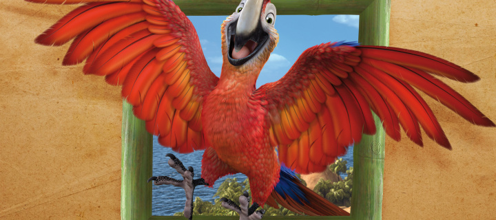 Обои The Wild Life Cartoon Parrot 720x320