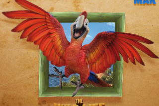 The Wild Life Cartoon Parrot Wallpaper for Android, iPhone and iPad