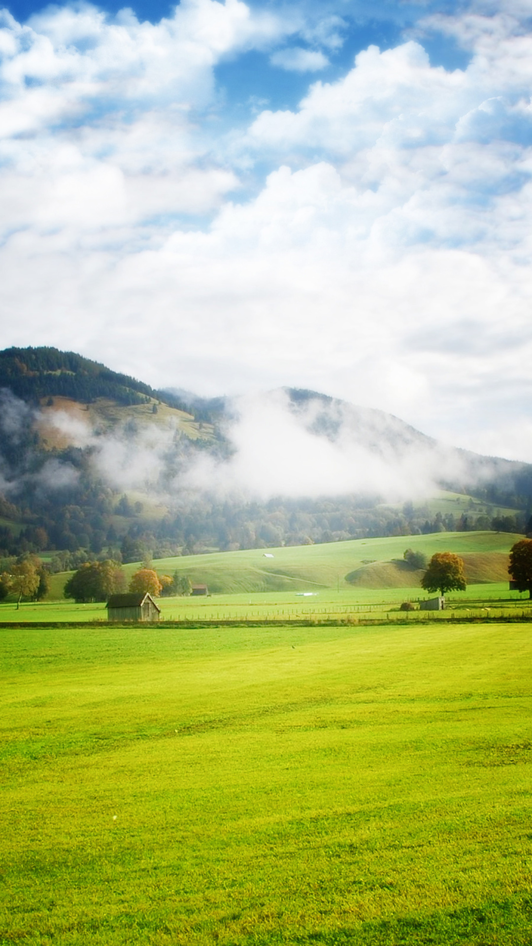 Screenshot №1 pro téma Autumn Fog In Slovakia 1080x1920