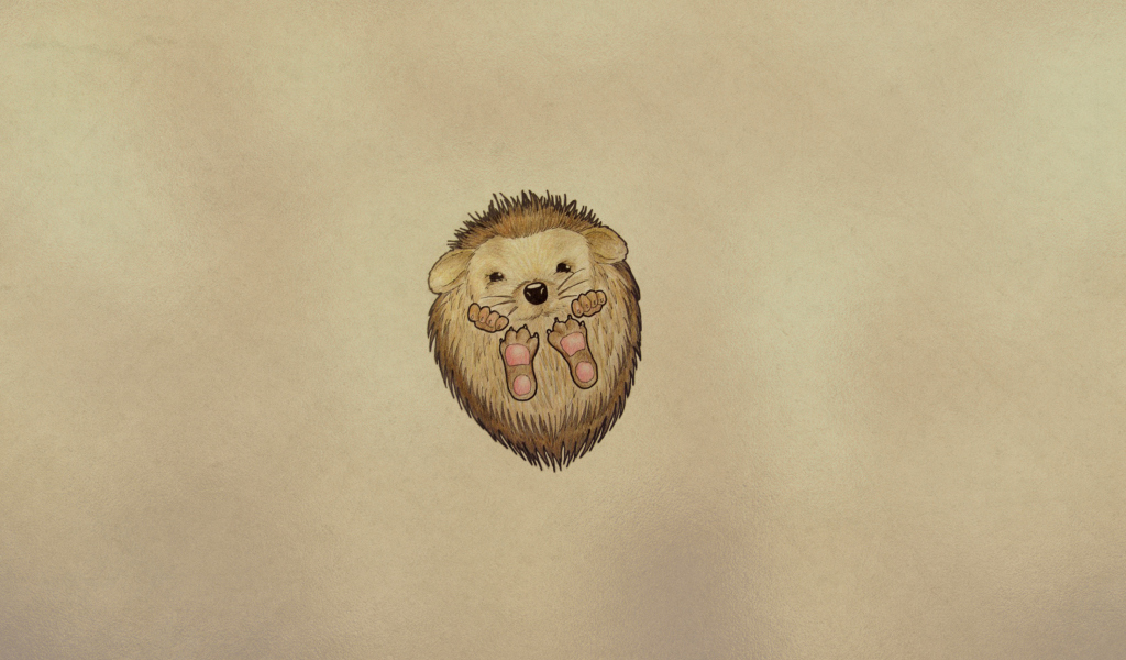 Cute Hedgehog wallpaper 1024x600