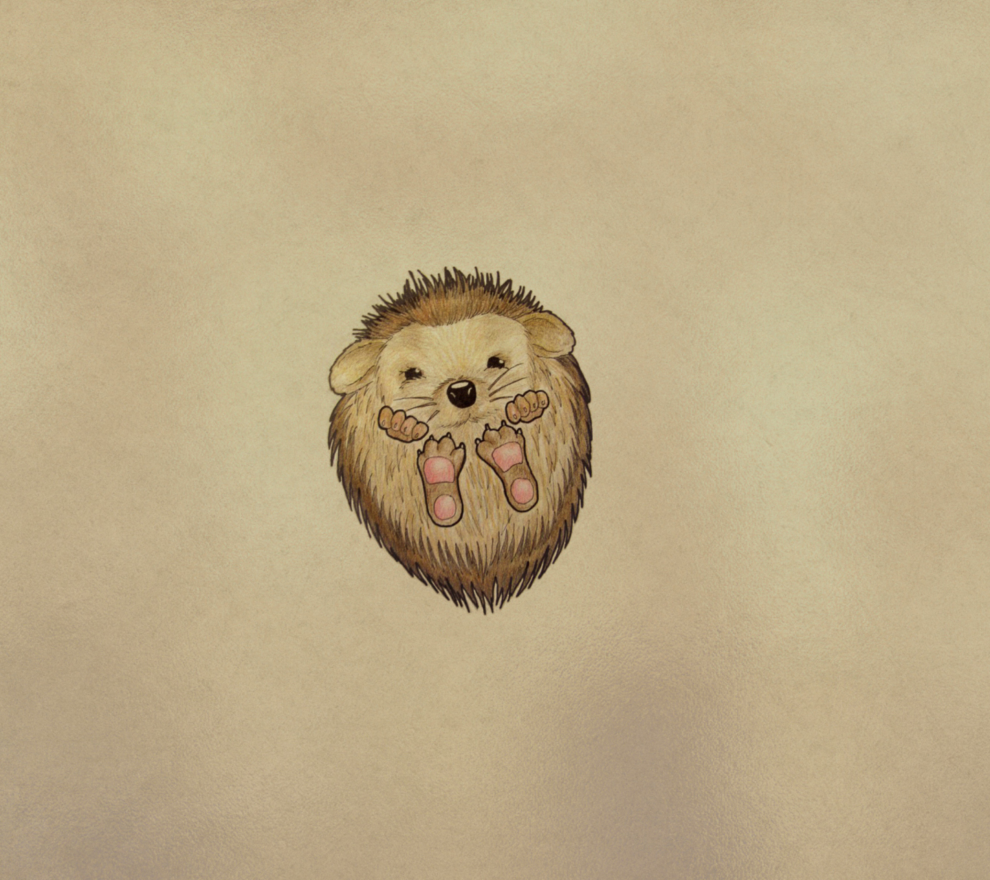 Fondo de pantalla Cute Hedgehog 1440x1280