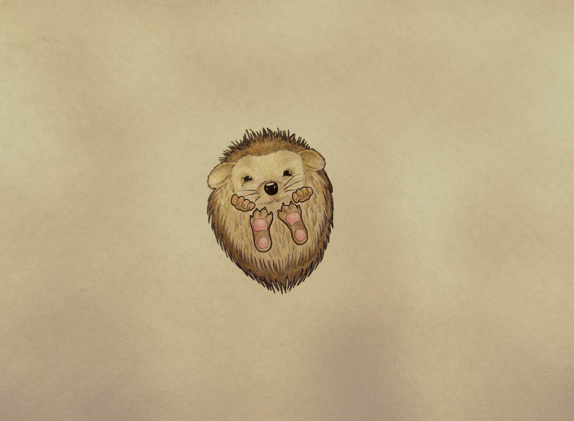 Das Cute Hedgehog Wallpaper 1920x1408