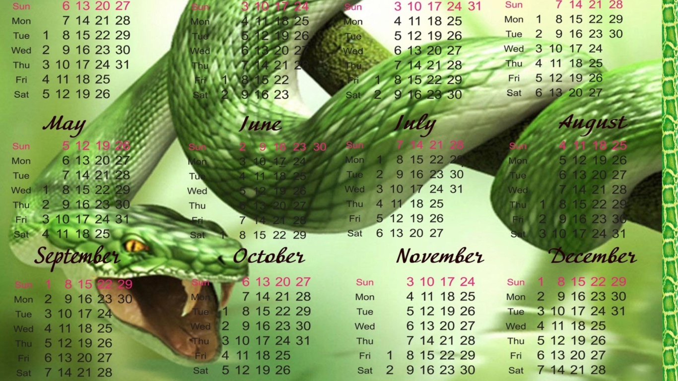 Sfondi Snake Year 1366x768