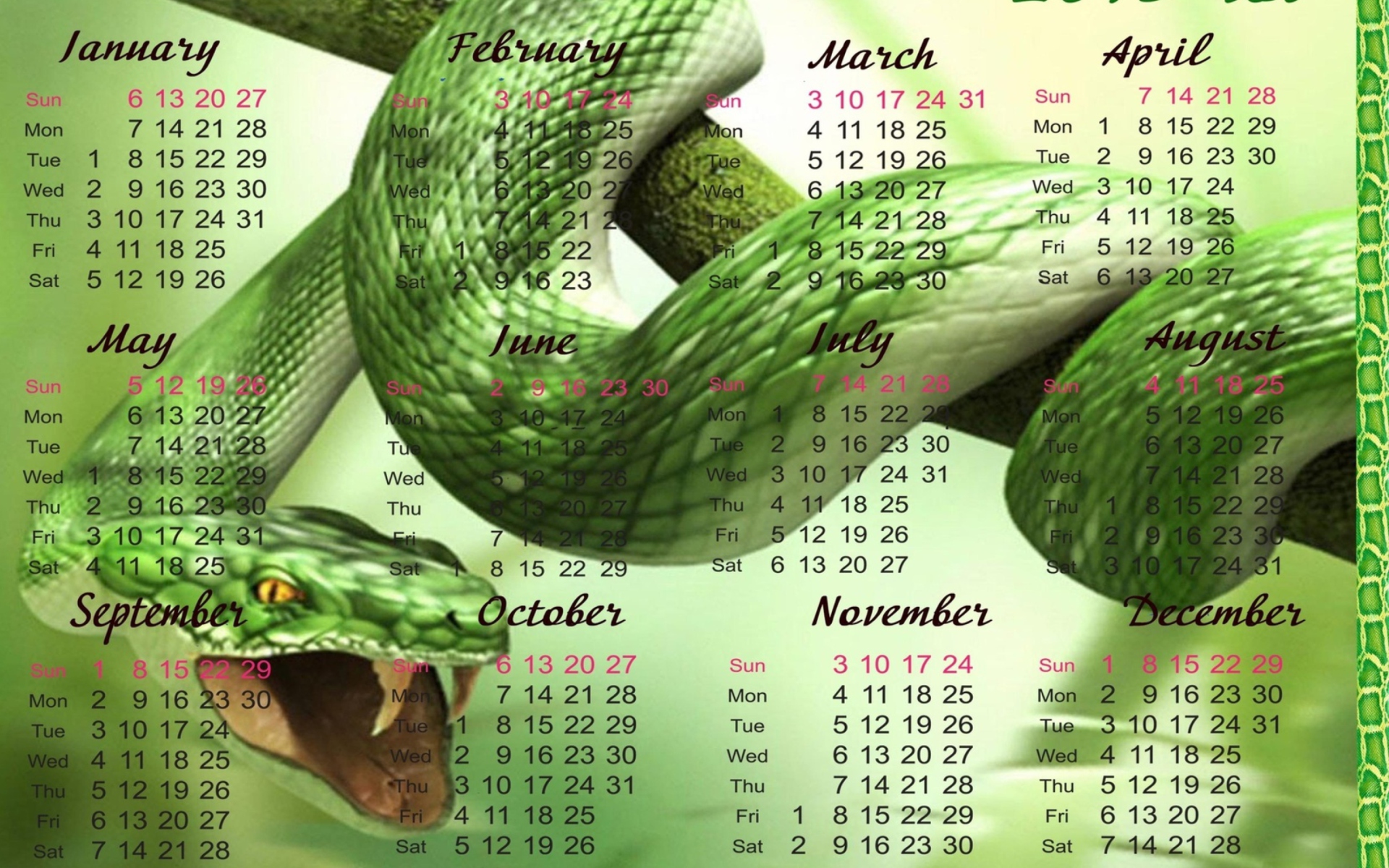 Snake Year wallpaper 1920x1200