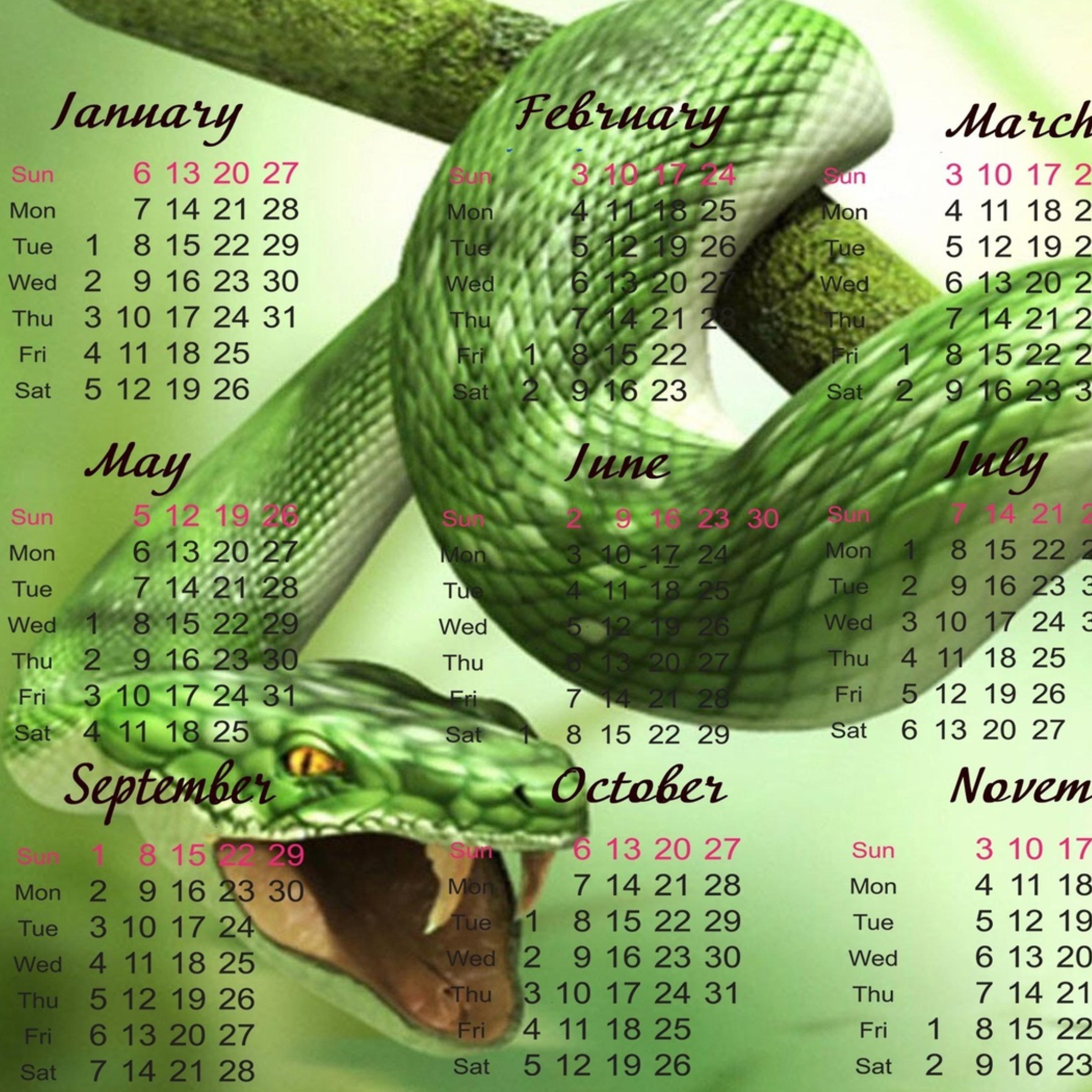 Das Snake Year Wallpaper 2048x2048