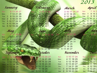 Fondo de pantalla Snake Year 320x240