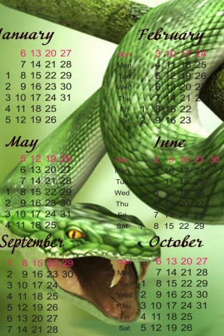 Fondo de pantalla Snake Year 320x480