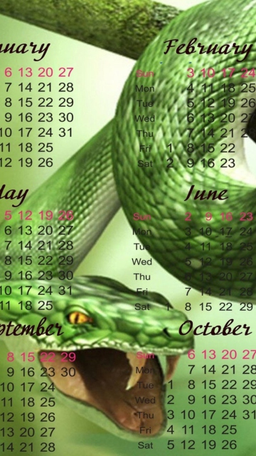 Das Snake Year Wallpaper 360x640