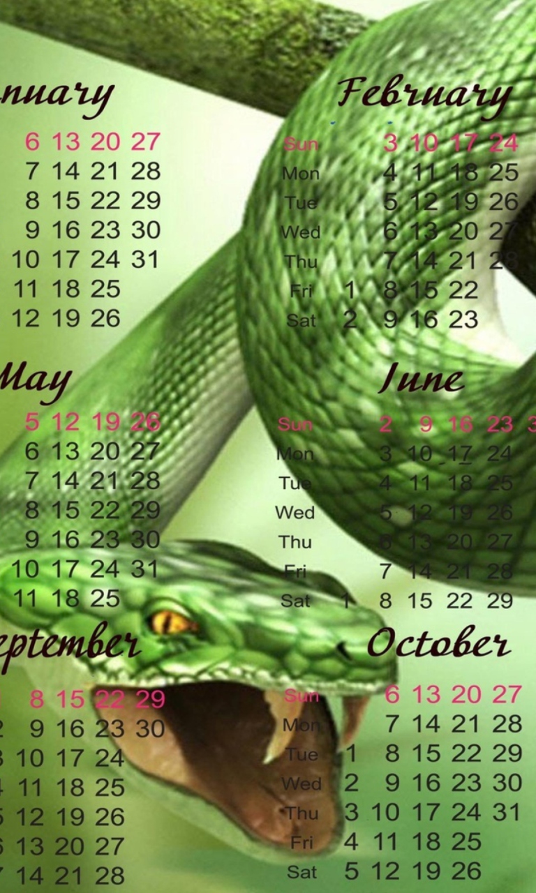 Das Snake Year Wallpaper 768x1280