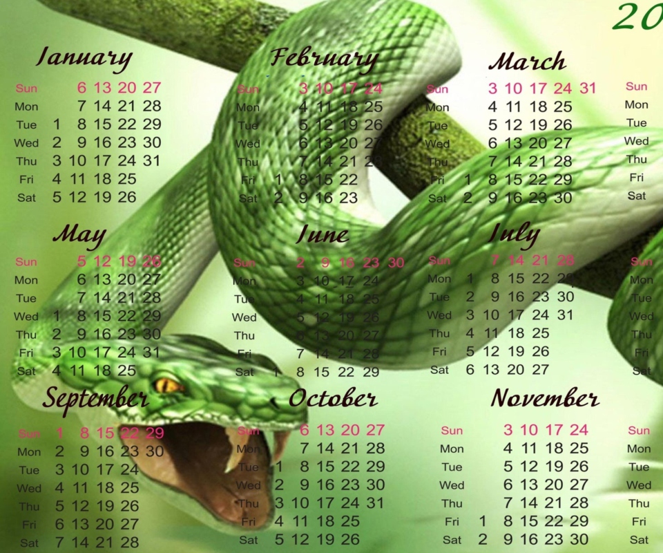 Das Snake Year Wallpaper 960x800
