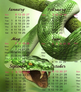 Картинка Snake Year для телефона и на рабочий стол Nokia Asha 503