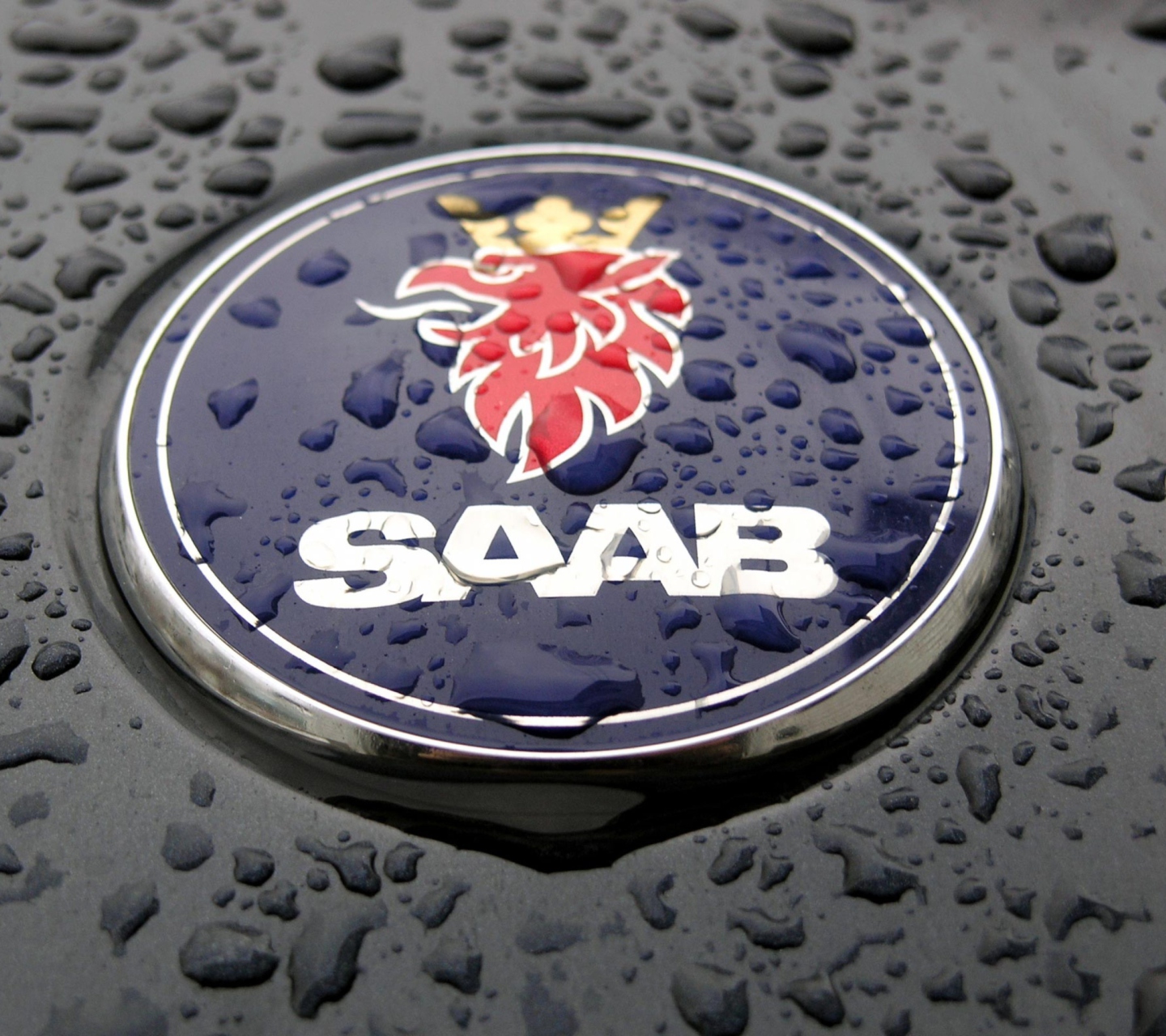 Fondo de pantalla Saab 1440x1280