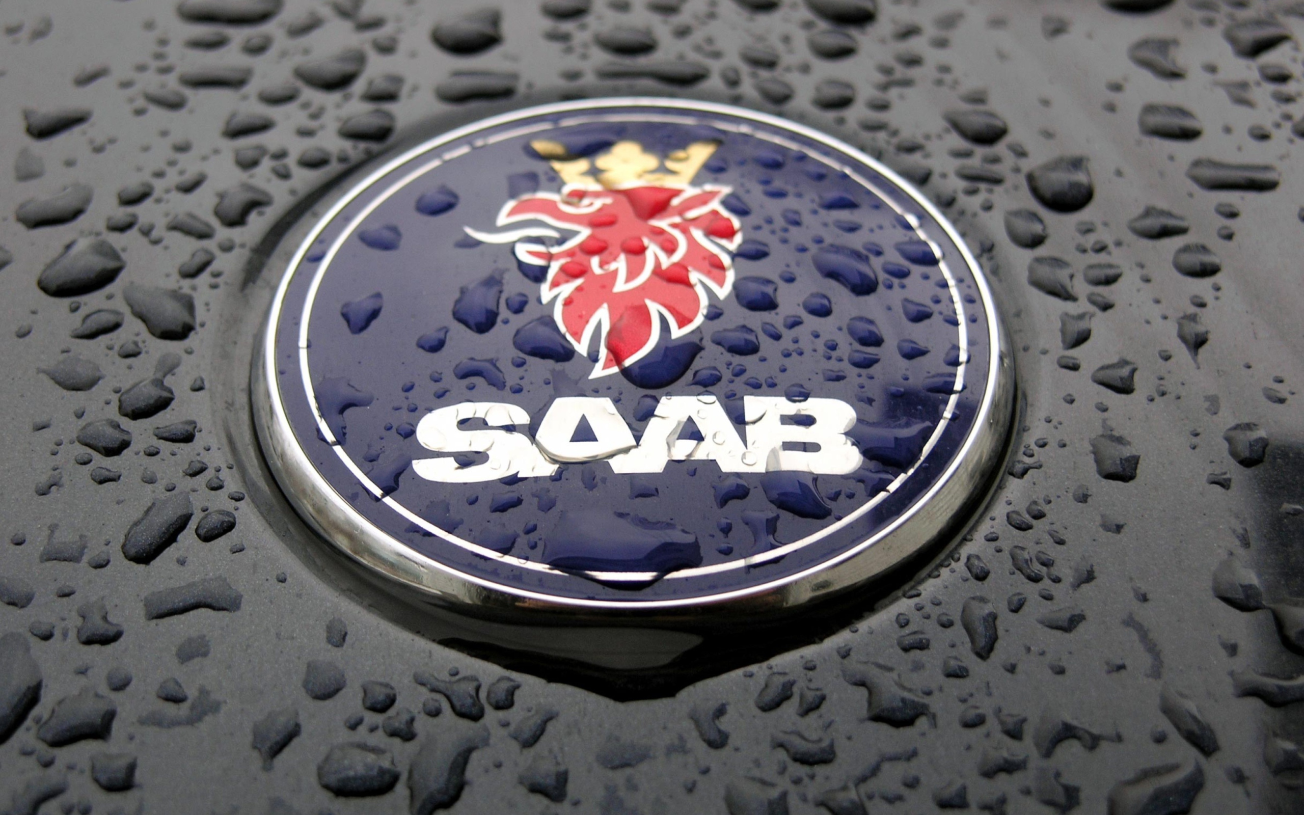 Screenshot №1 pro téma Saab 2560x1600