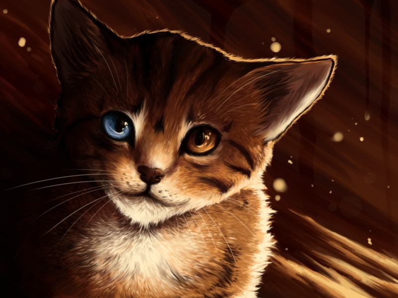 Screenshot №1 pro téma Drawn Cat 800x600