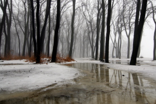 Winter is Coming - Obrázkek zdarma pro 1080x960