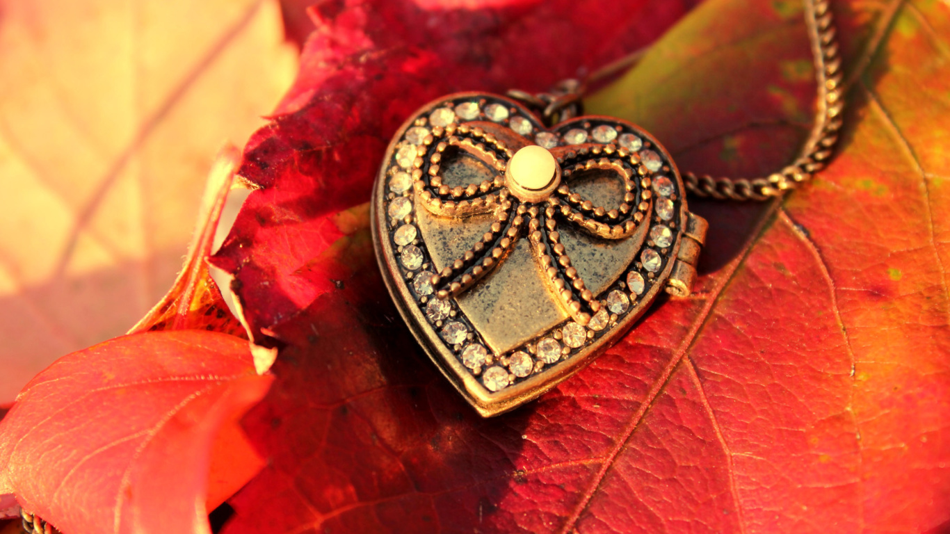 Das Autumn Heart Decor Wallpaper 1366x768