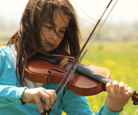 Обои Girl Playing Violin 480x400