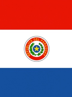 Sfondi Paraguay Flag 240x320