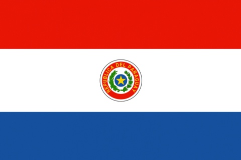 Das Paraguay Flag Wallpaper 480x320
