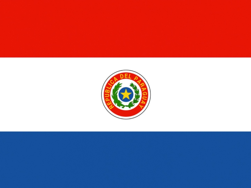 Screenshot №1 pro téma Paraguay Flag 800x600