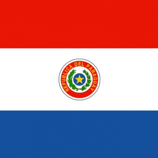 Paraguay Flag papel de parede para celular para iPad mini