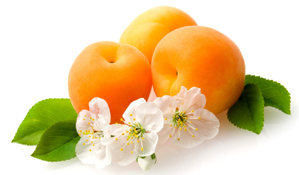 Обои Apricot Fruit 1024x600