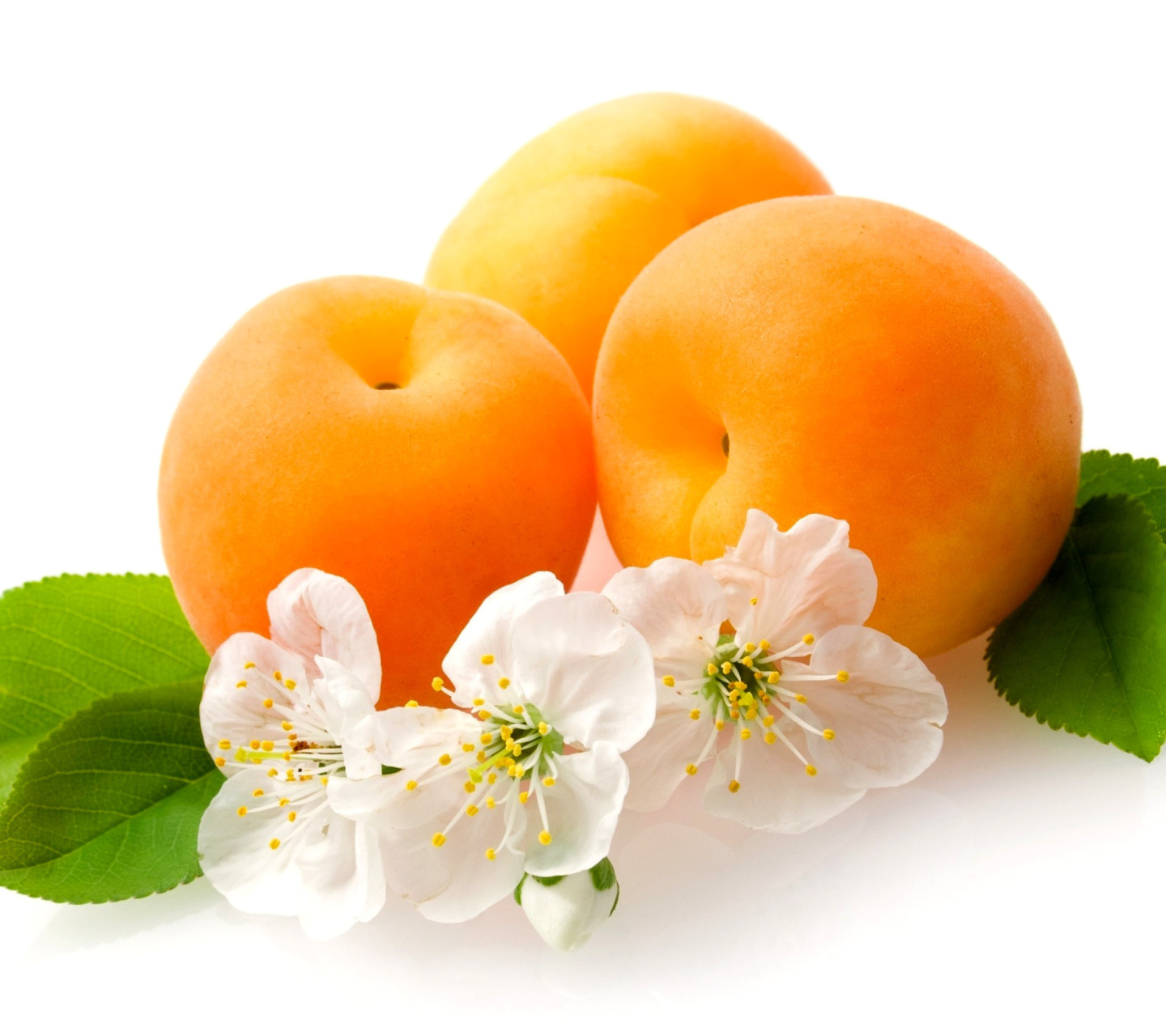 Das Apricot Fruit Wallpaper 1440x1280
