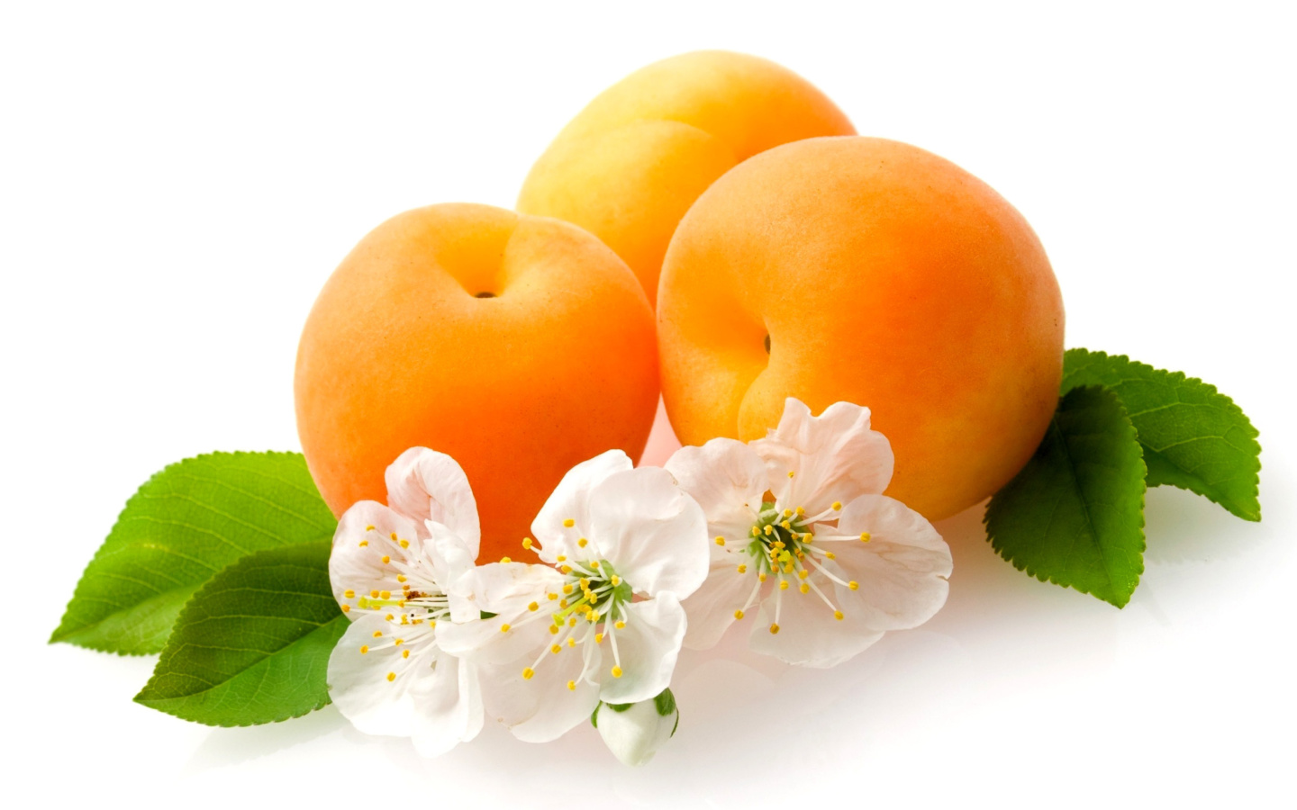 Das Apricot Fruit Wallpaper 1440x900