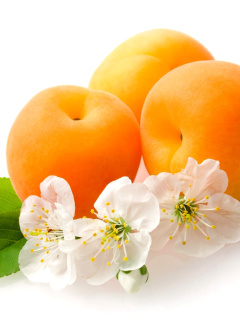 Screenshot №1 pro téma Apricot Fruit 240x320